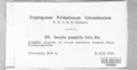 Image Associated With the Occurence